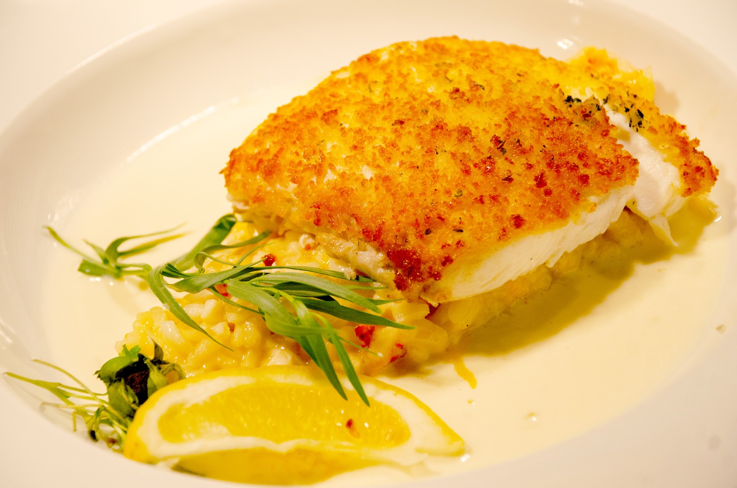 The Pointe - Plate of fish sitting on top of a bed of risotto