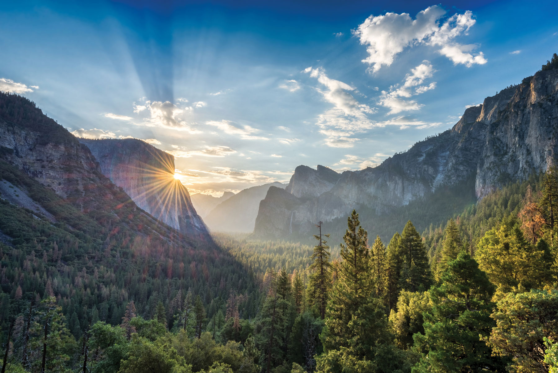 Lucky North - Yosemite